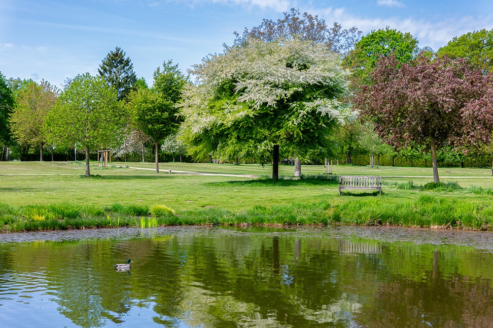Saline Gottesgabe im Salinenpark Rheine-Bentlage