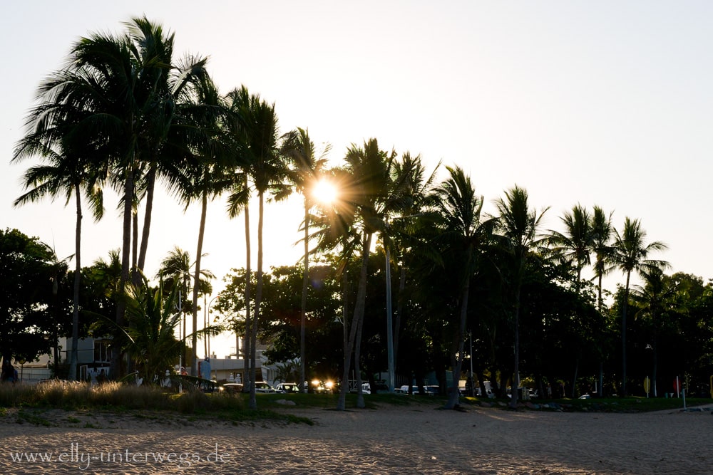 Weg hinauf zum Kissing Point Walk in Townsville Queensland