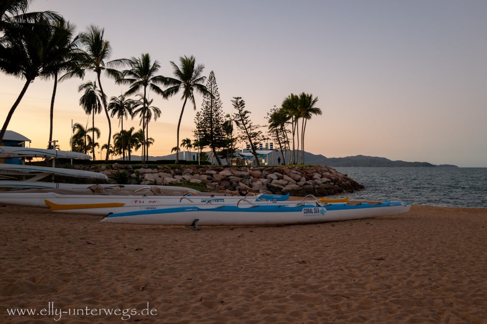 Palmen am Wasser bei Sonnenuntergang in Townsville