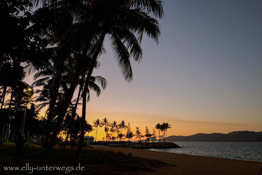 Palmen und Abendhimmel in Townsville Queensland