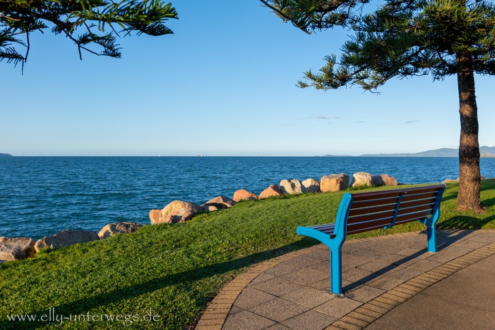 Küste und Palmen am Abend in Townsville Queensland