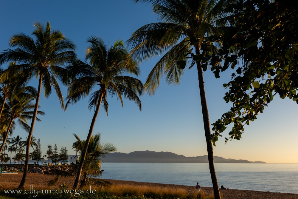 Palmenstrand in Townsville auf dem Weg zum Hafen