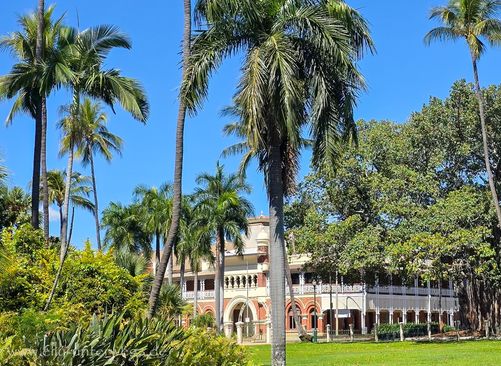Palmen an der Promenade in Townsville Queensland