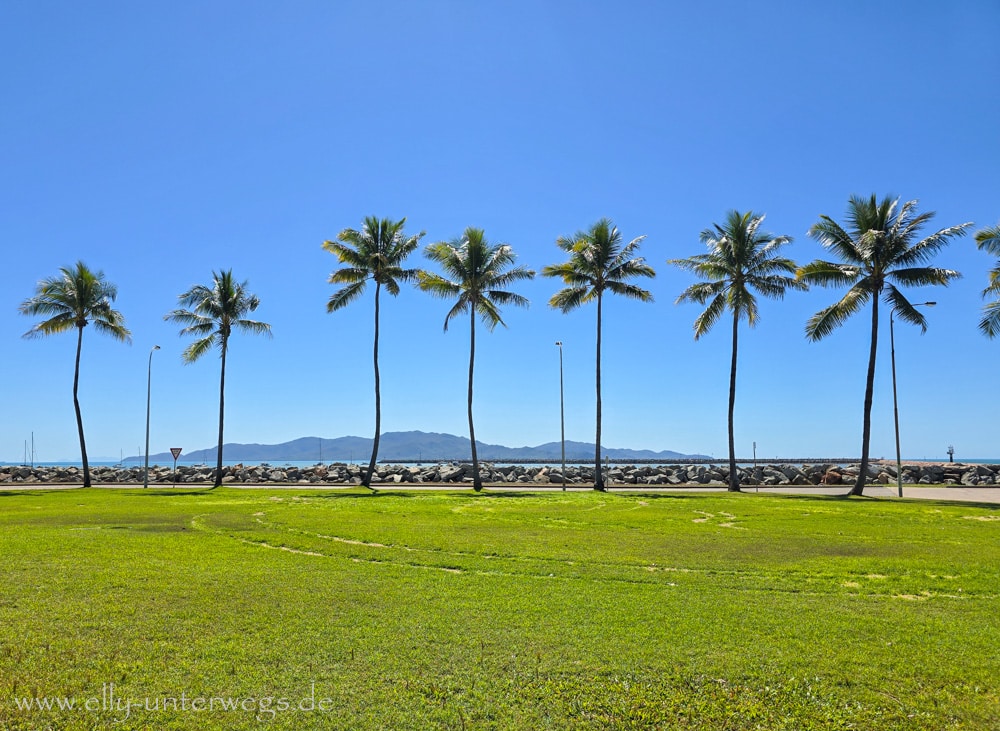Promenade und Palmen in Townsville vor der Weiterfahrt
