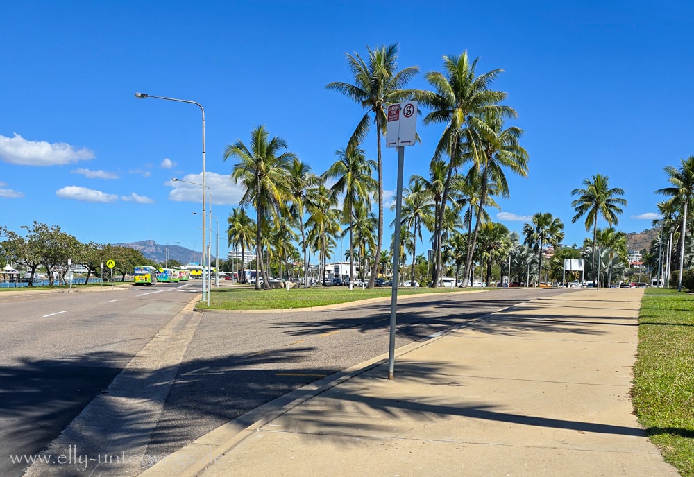 Strand und Palmen in Townsville vor der Busfahrt