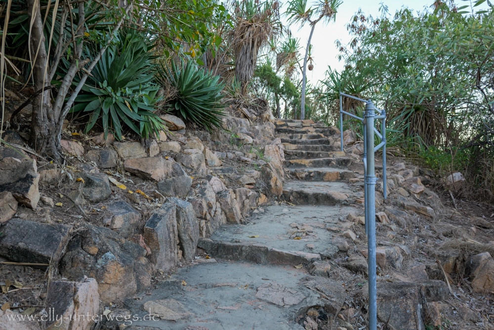 Aufstieg zum Kissing Point Walk mit Bäumen und Wegen in Townsville