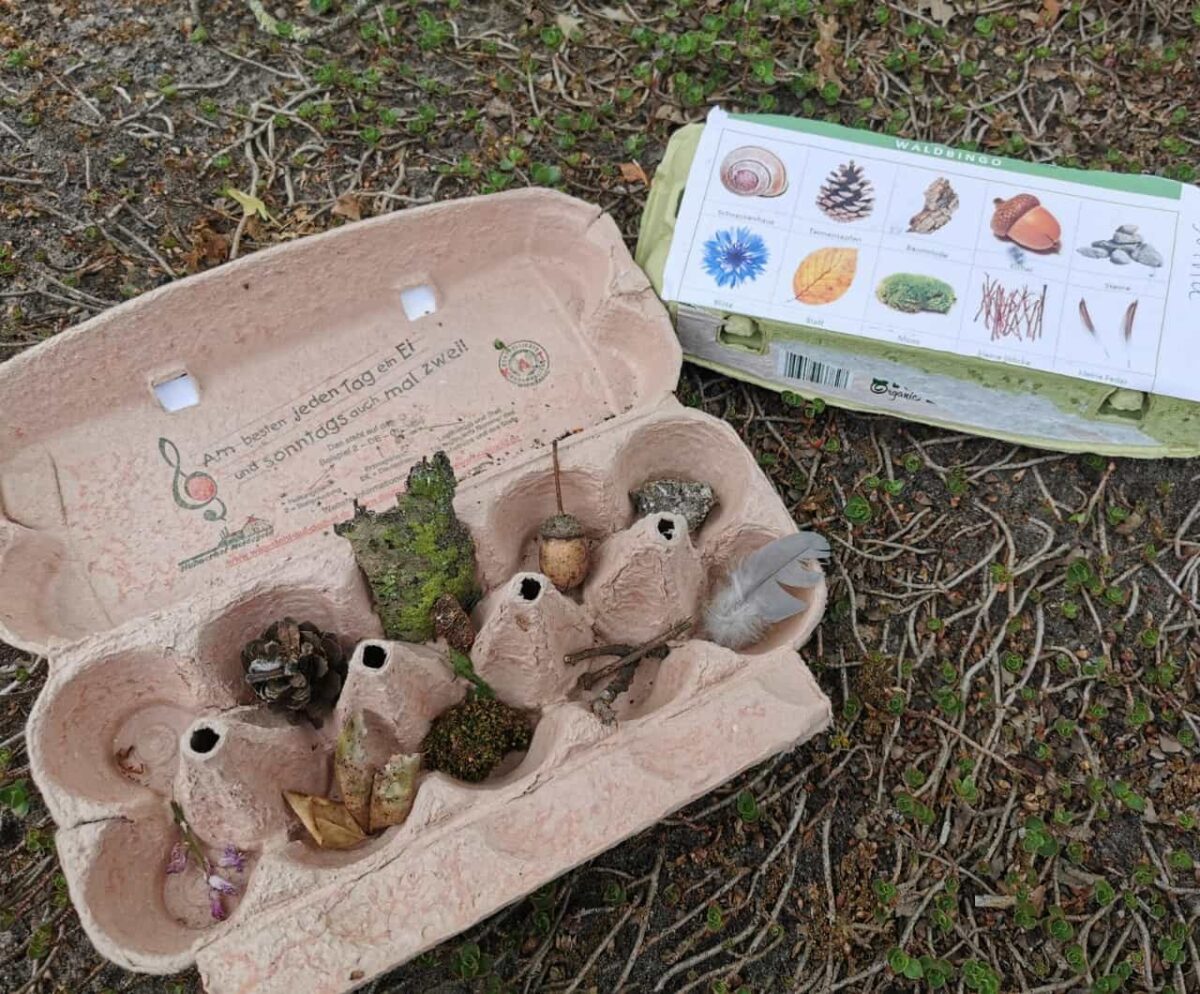 Waldbingo mit Eierkarton für Kinder im Wald