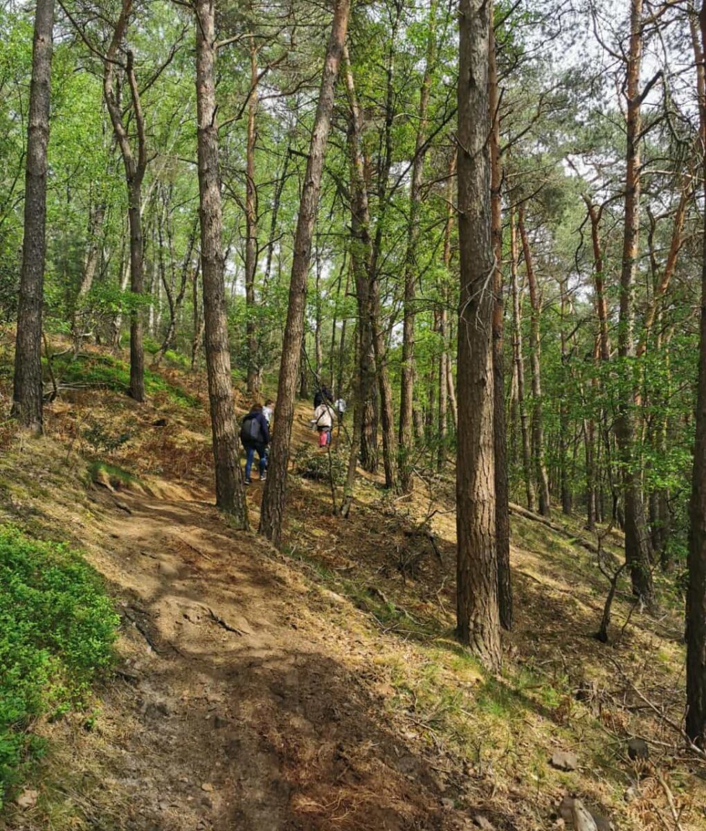 Spazierweg im Wald bei der Schönen Aussicht in Riesenbeck