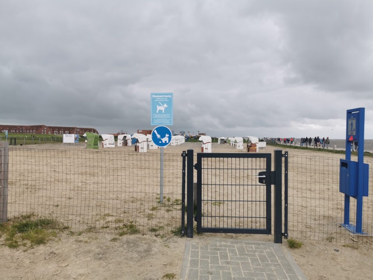 Strandbereich und Hundestrand in Norddeich