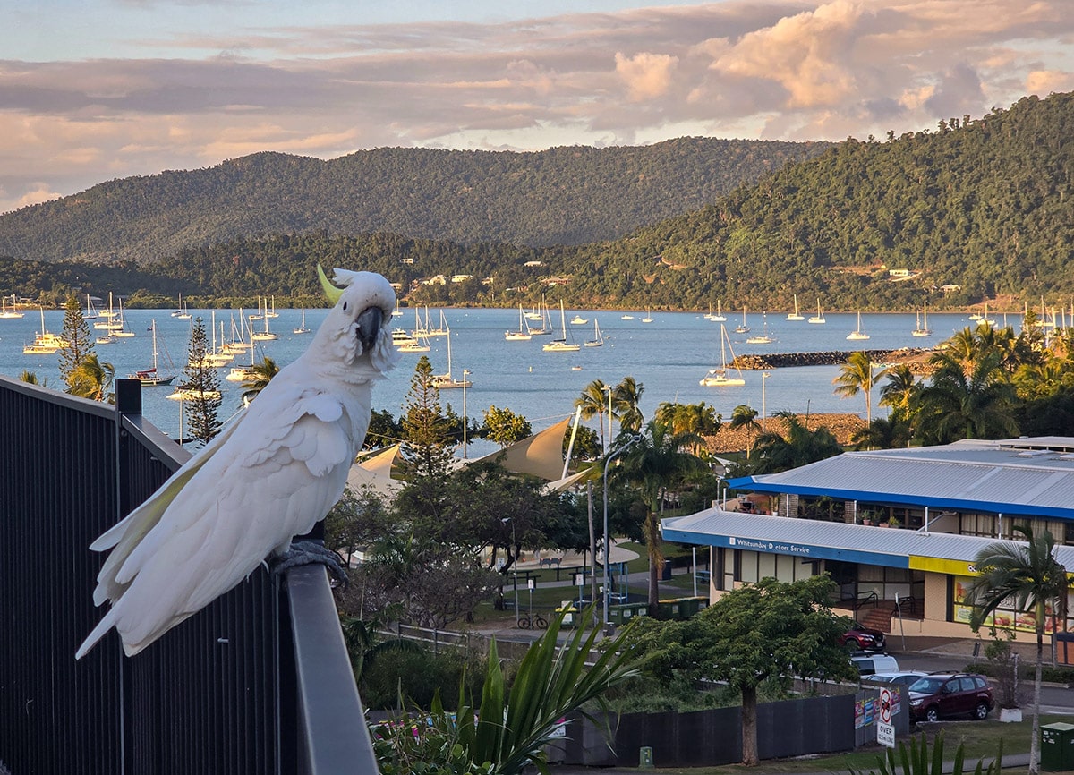Airlie Beach – das Tor zu den Whitsundays – Mit meinen 3 Teenagern unterwegs in Australien