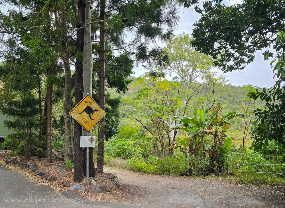 Ankunft und Unterkunft am Cape Hillsborough Nature Tourist Park während unserer Australienreise mit Teenagern