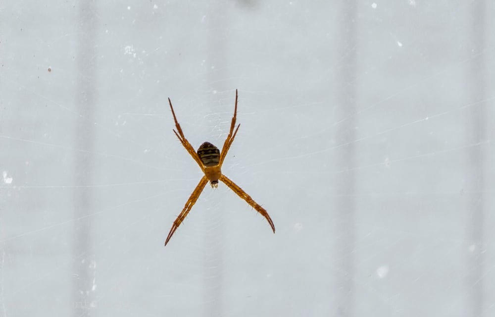 Ankunft und Unterkunft am Cape Hillsborough Nature Tourist Park während unserer Australienreise mit Teenagern
