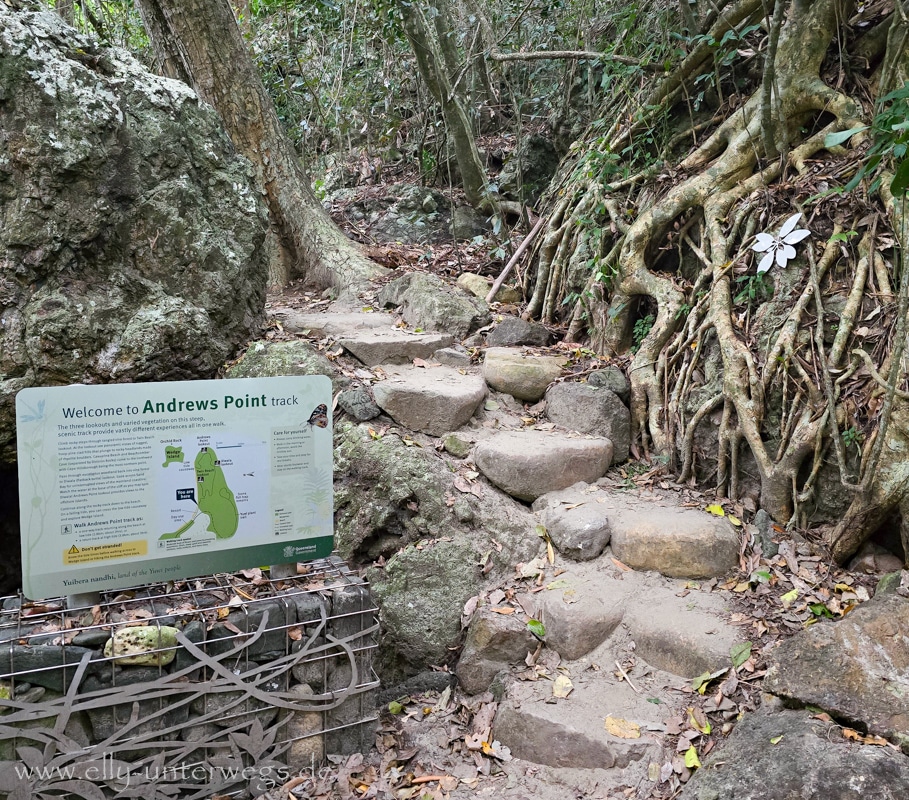 Beginn des Andrews Point Track am Cape Hillsborough mit Stufen und felsigem Weg