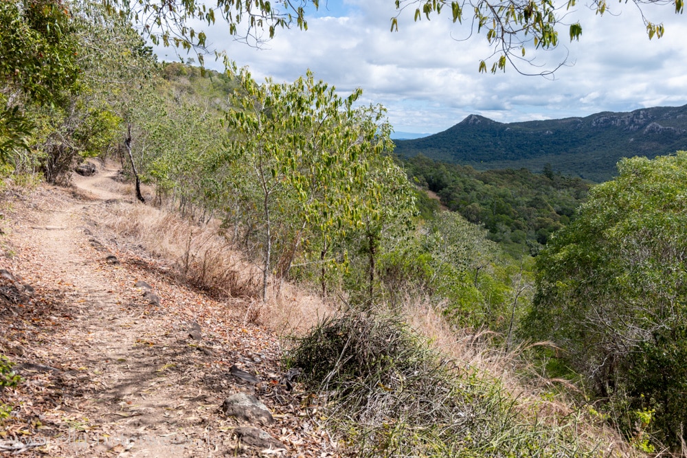 Wald und felsiger Weg auf dem Andrews Point Track am Cape Hillsborough