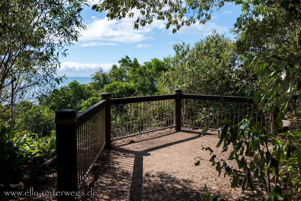 Wald und felsiger Weg auf dem Andrews Point Track am Cape Hillsborough