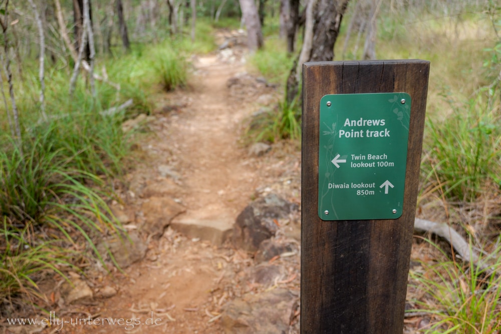 Wald und felsiger Weg auf dem Andrews Point Track am Cape Hillsborough
