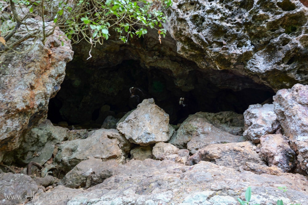 Beginn des Andrews Point Track am Cape Hillsborough mit Stufen und felsigem Weg