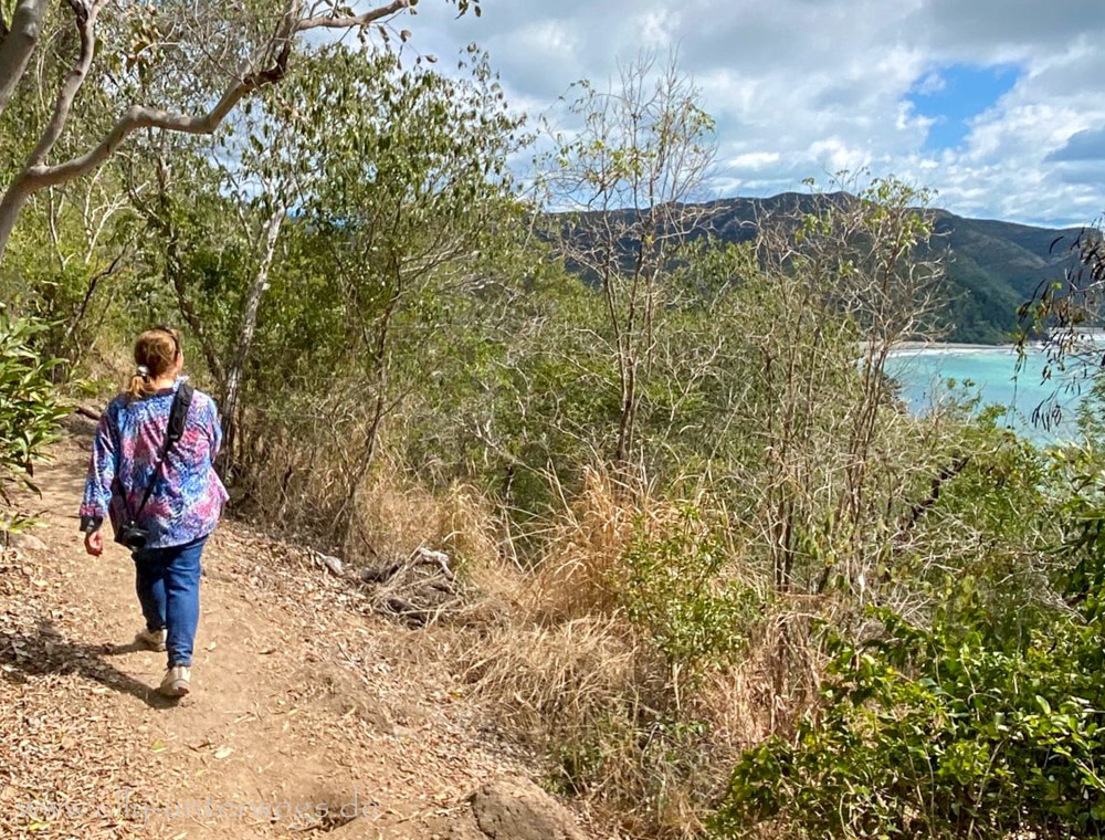 Aussicht vom Andrews Point Track auf die Küste und Inseln vor Cape Hillsborough