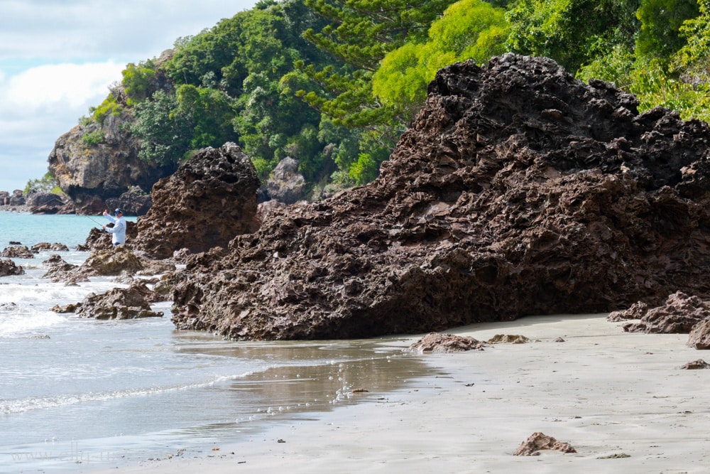 Strand, Ebbe und Natur am Cape Hillsborough National Park in Queensland