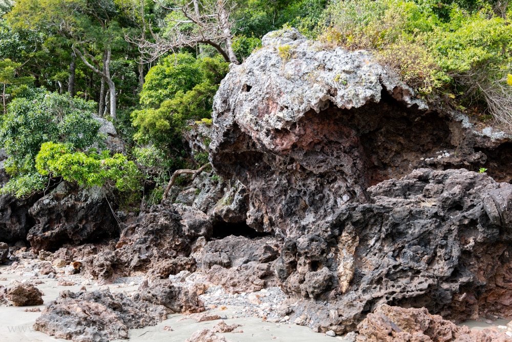 Strand, Ebbe und Natur am Cape Hillsborough National Park in Queensland