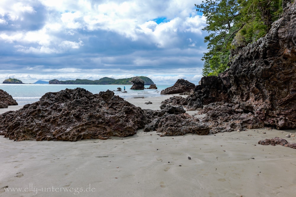 Strand, Ebbe und Natur am Cape Hillsborough National Park in Queensland