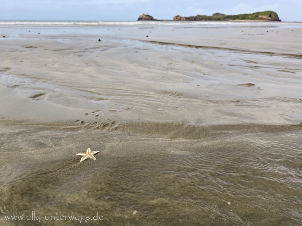 Strand, Ebbe und Natur am Cape Hillsborough National Park in Queensland