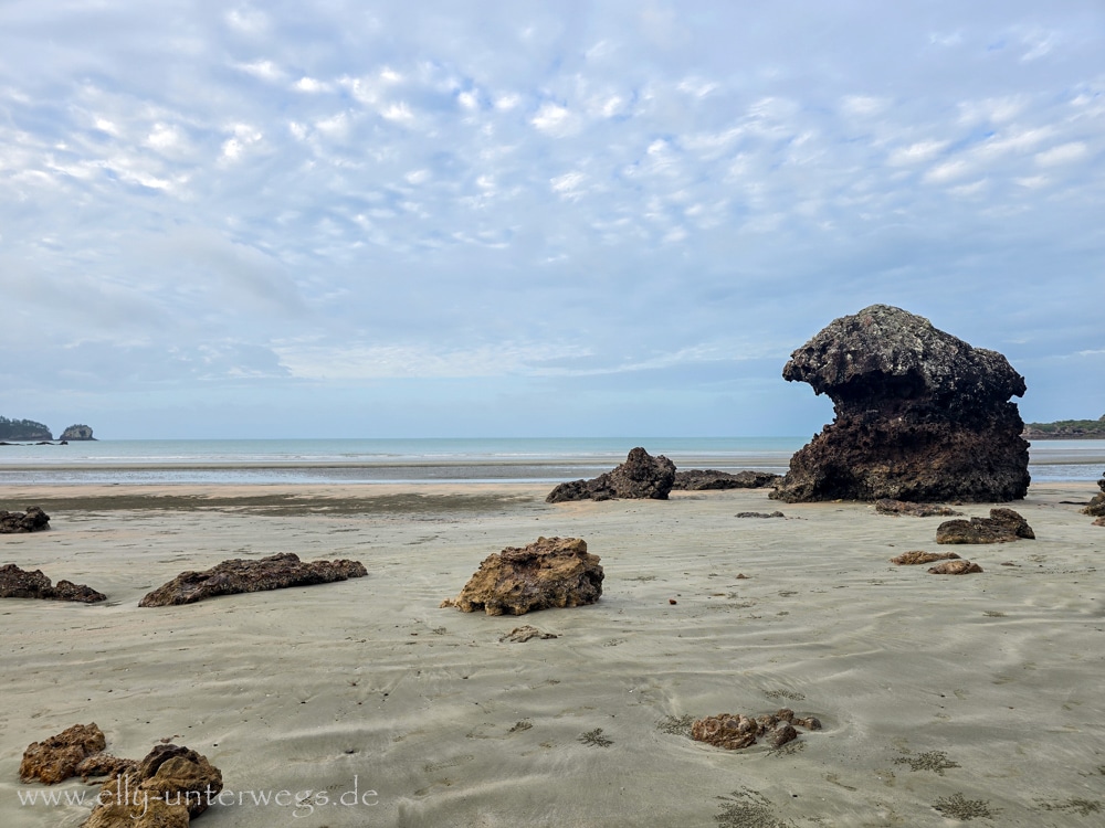 Strand, Ebbe und Natur am Cape Hillsborough National Park in Queensland