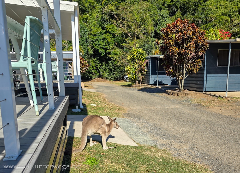 Unterwegs auf dem Cape Hillsborough Nature Tourist Park