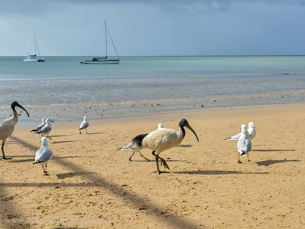 Die Nachtfahrt mit Greyhound und der Chilltag in Hervey Bay