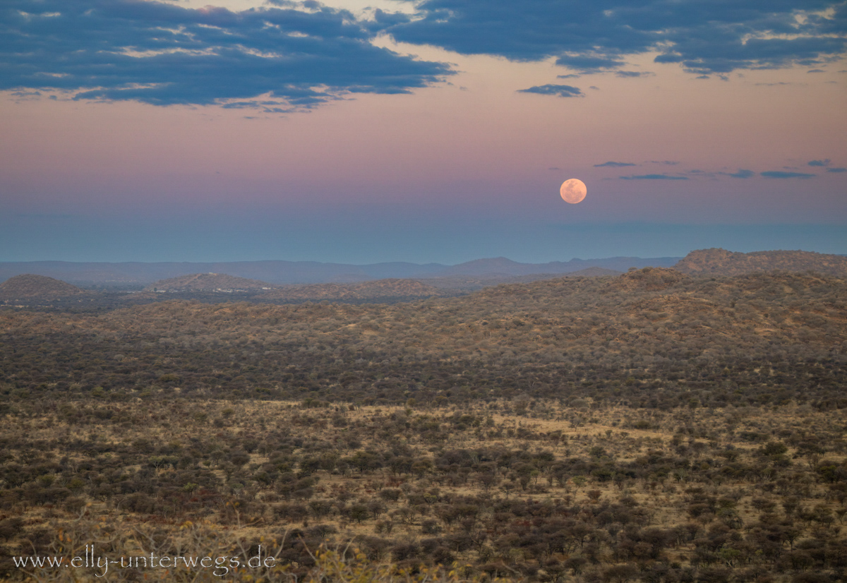 Namibia-Otjisazu-Farm-Windhoek-19.jpg