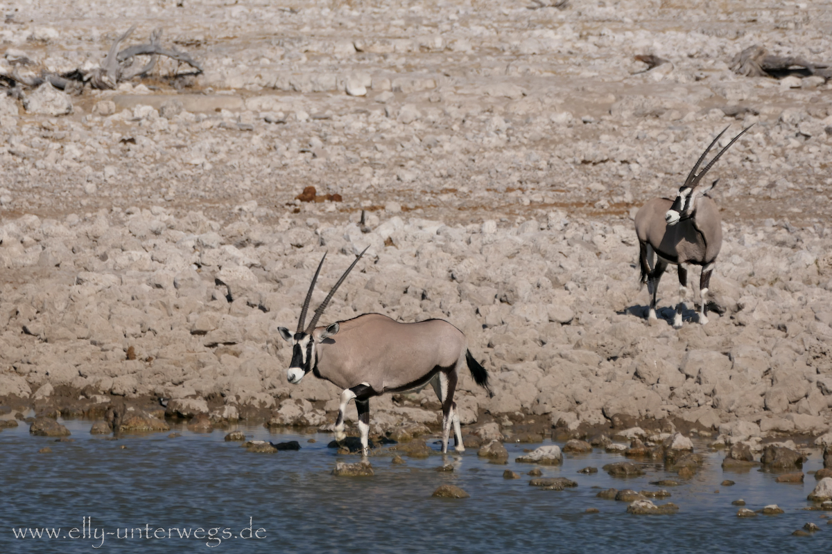 P1023645-Bearbeitet.jpg