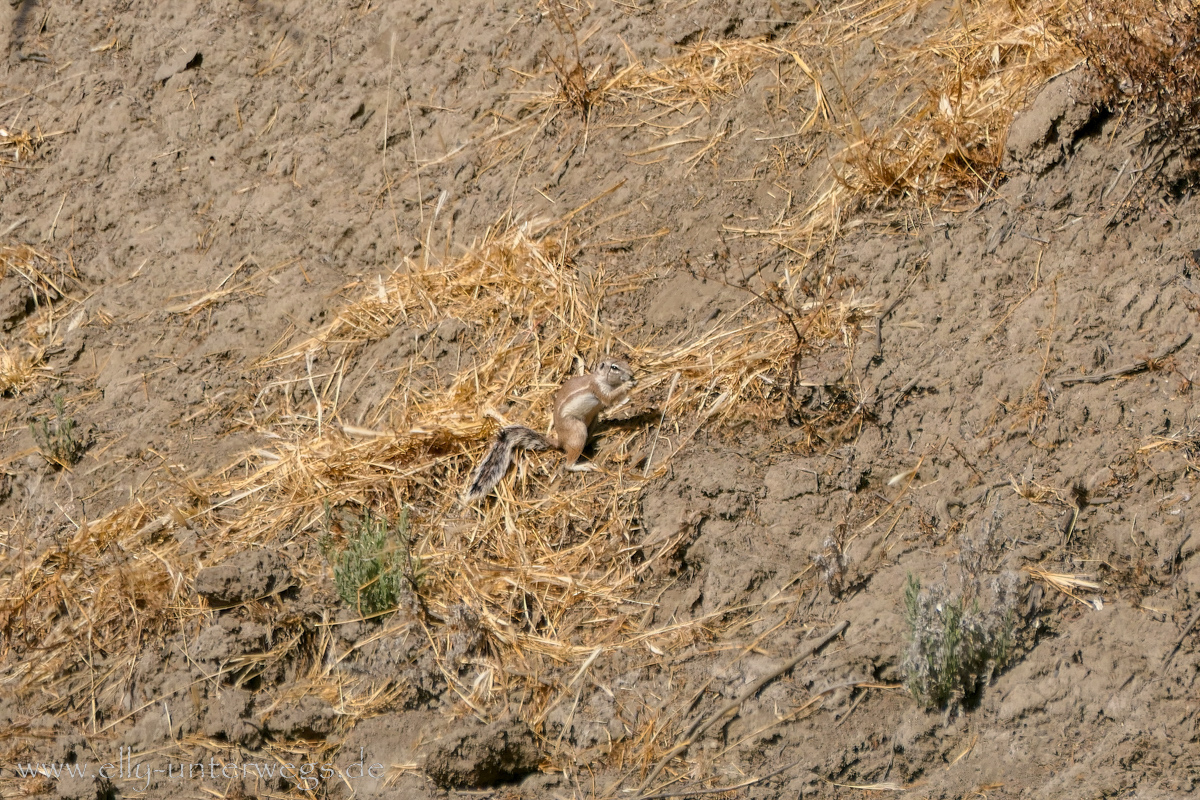 Namibia-Otjisazu-Farm-Windhoek-136.jpg