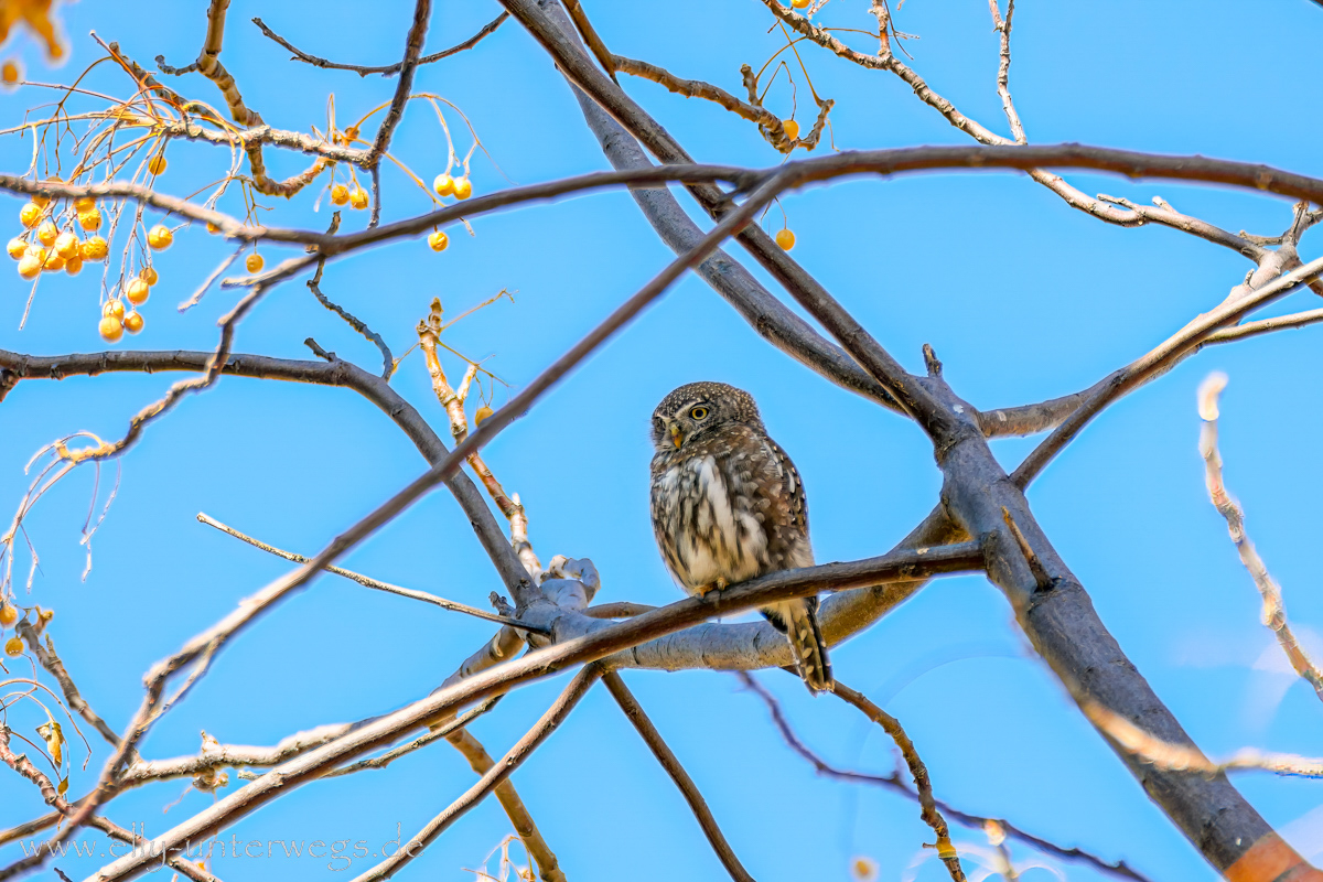 Namibia-Otjisazu-Farm-Windhoek-138.jpg