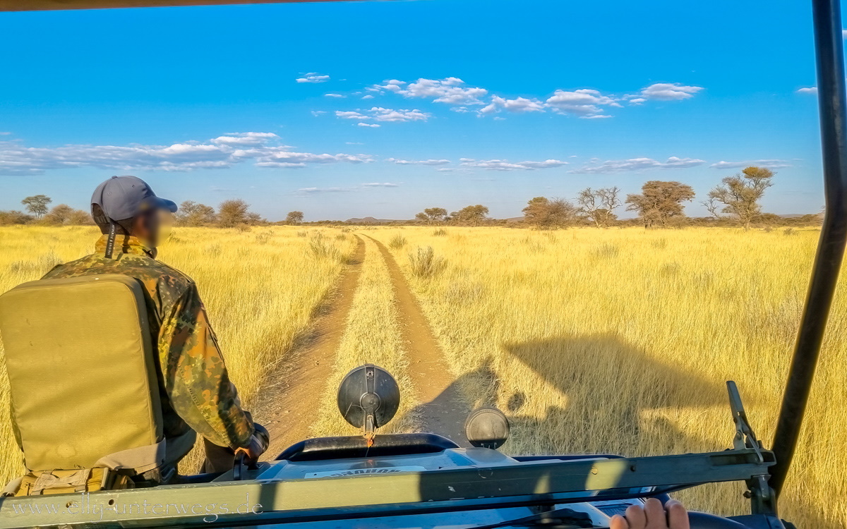 Namibia-Otjisazu-Farm-Windhoek-2-1.jpg