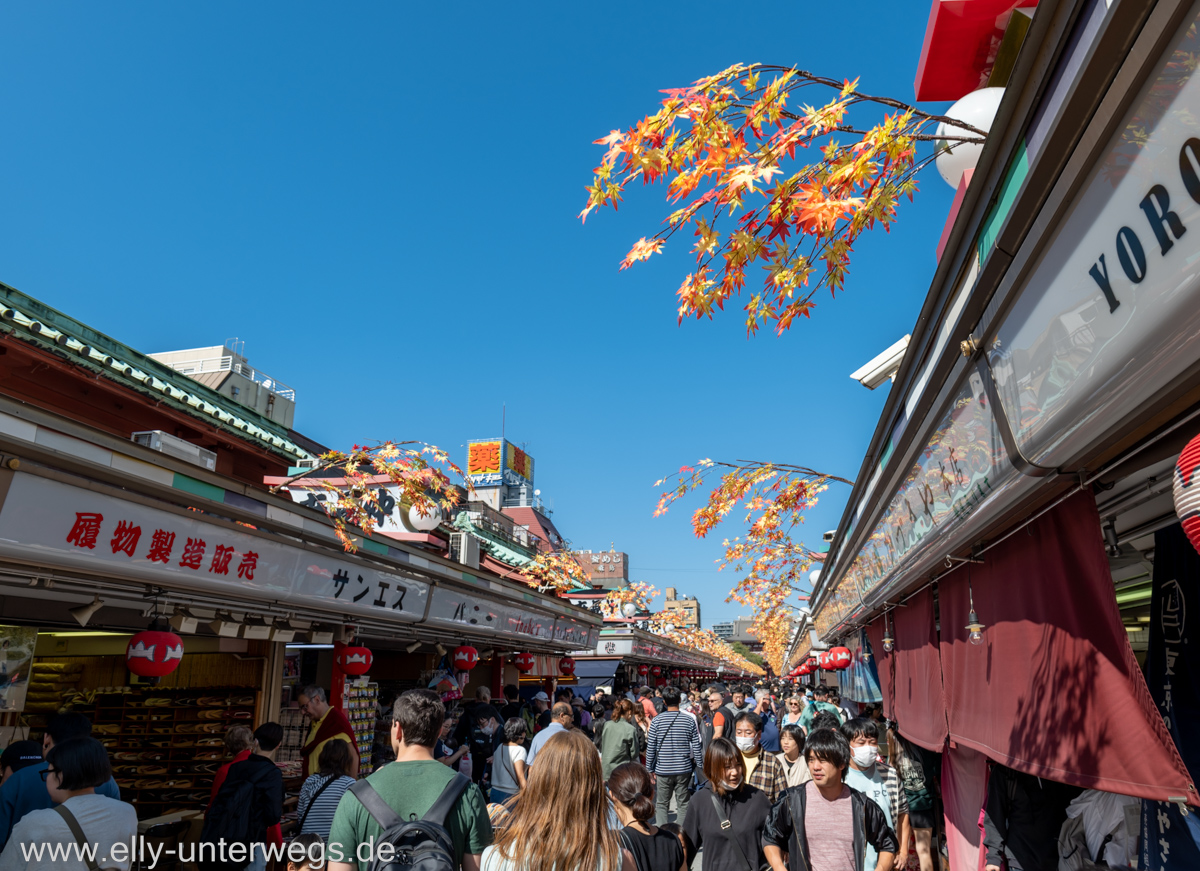 e-tokio-asakusa-21.jpg