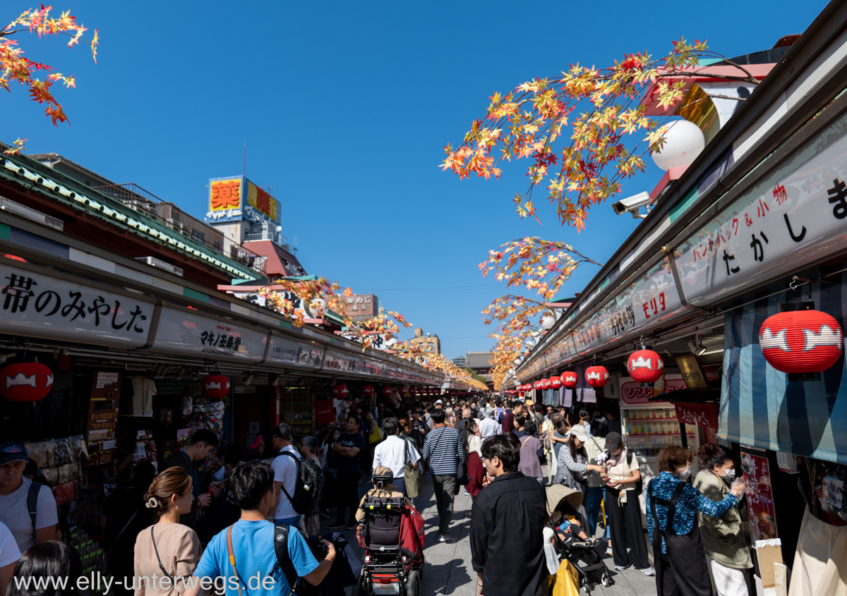 e-tokio-asakusa-23.jpg