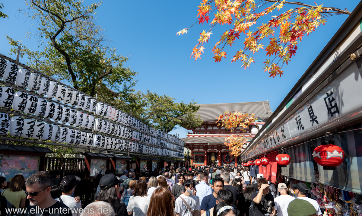 e-tokio-asakusa-30.jpg