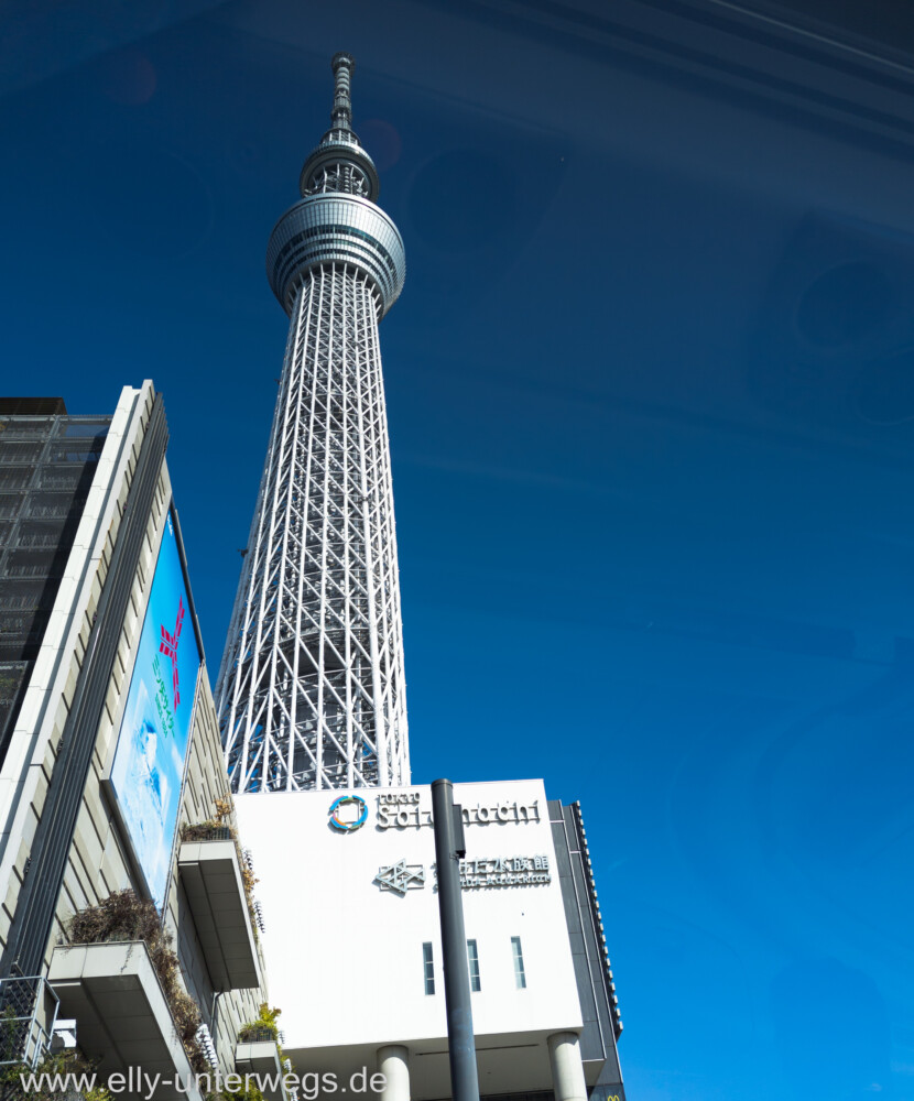 f-skytree-h-1.jpg