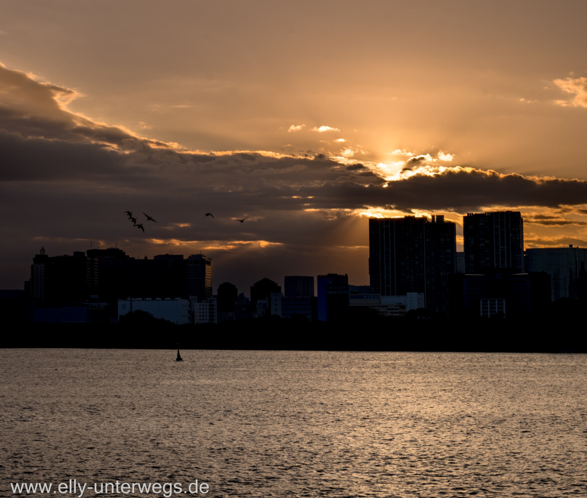 g-odaiba-8.jpg