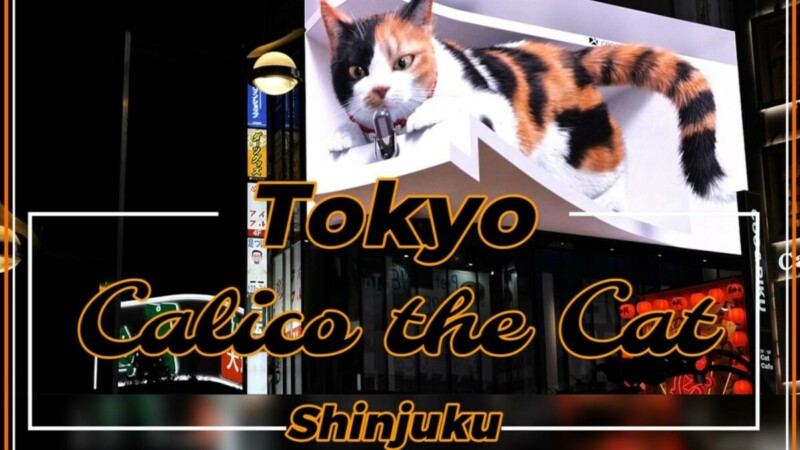 Tokyo: Die große 3D-Katze und das 2D-Café in Shinjuku