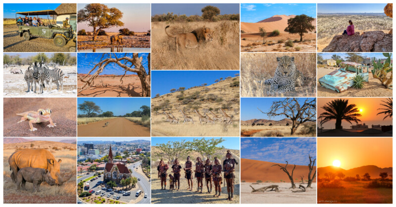 Elly’s Eleven – Meine Lieblingsfotos aus Afrika