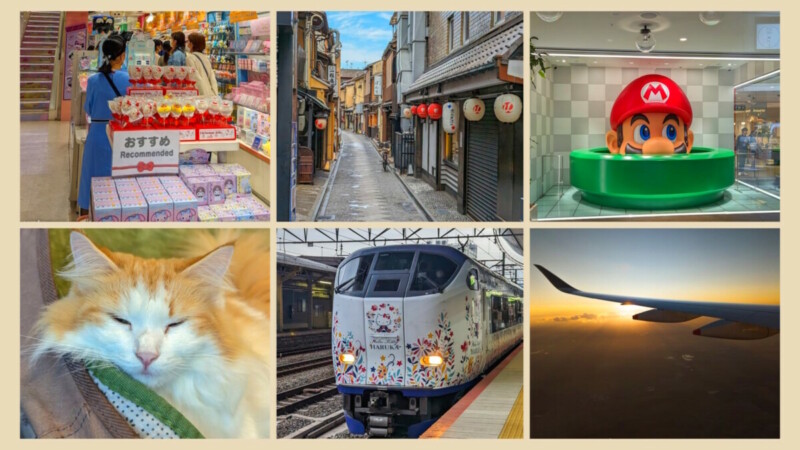 Ein letzter Shoppingbummel in Kyoto mit Katzencafé  – und dann … Abschied von Japan …. Rückreise via Singapur nach Deutschland