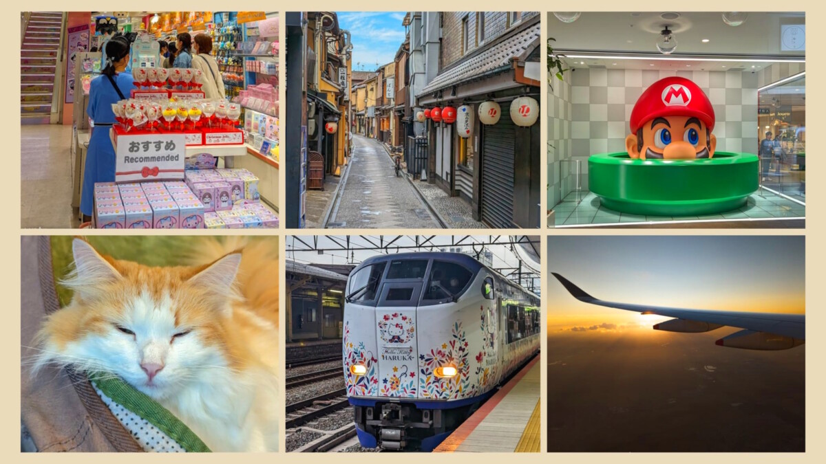 Ein letzter Shoppingbummel in Kyoto mit Katzencafé  – und dann … Abschied von Japan …. Rückreise via Singapur nach Deutschland