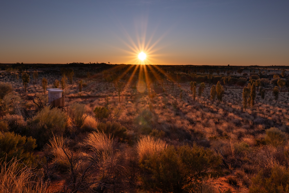 Projektion im Buschwerk bei beginnendem Tageslicht