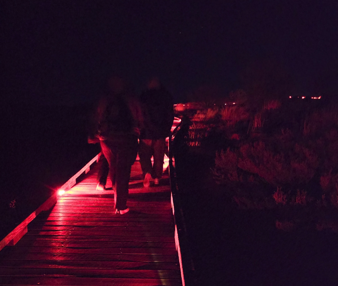 Dezent beleuchtete Plattform vor der Präsentation