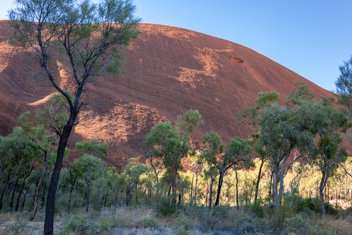 Detail: rötliche Arkose mit feinen Rissen