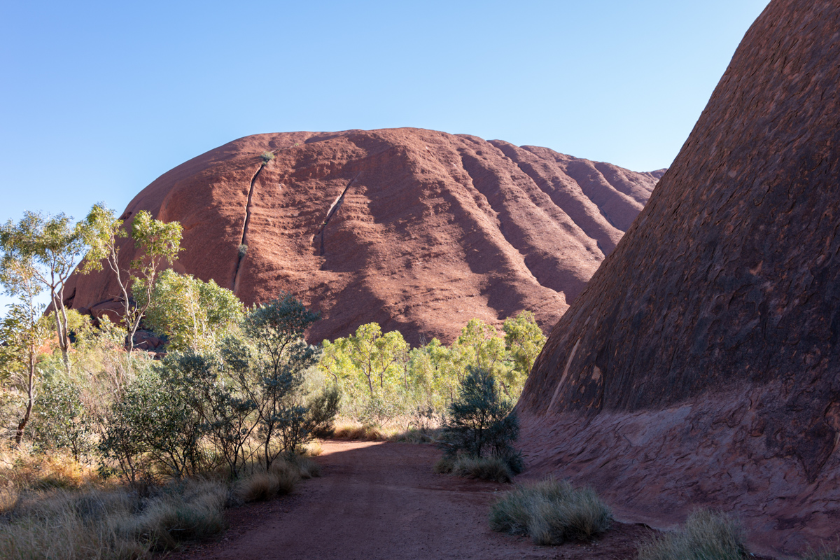 Vegetation am Fuß des Uluru neben dem Pfad
