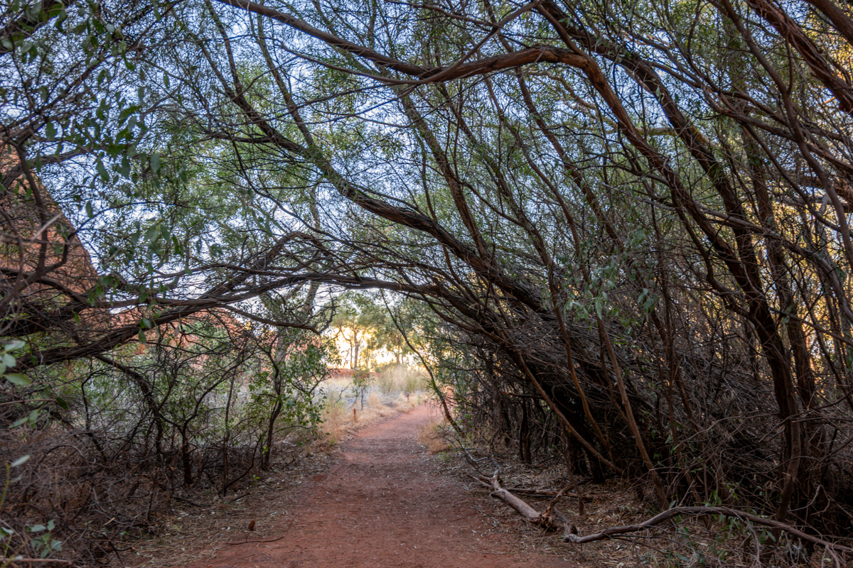 Blick entlang des Base Walks mit rotem Fels