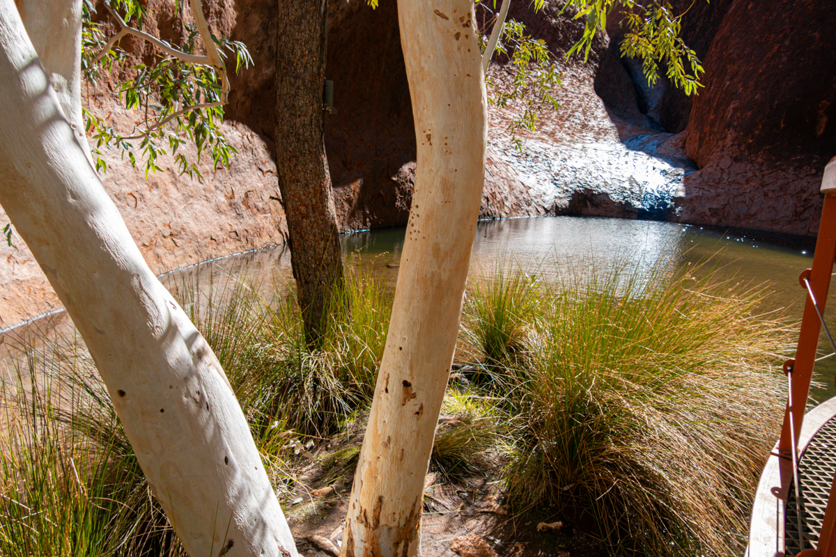 Glattere Felsfläche mit feinen Rinnen am Uluru