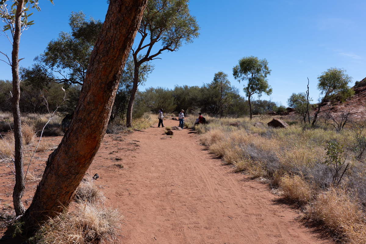 Strukturreicher Felsabschnitt am Uluru aus der Nähe